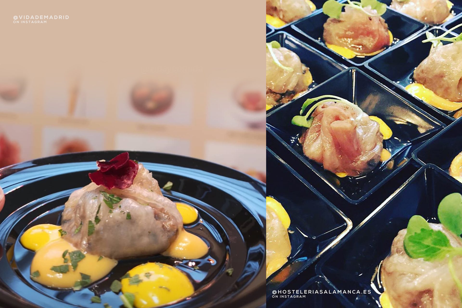 Vida&Comida Salamanca en_Madrid_Fusion 2019 DimSum Papada