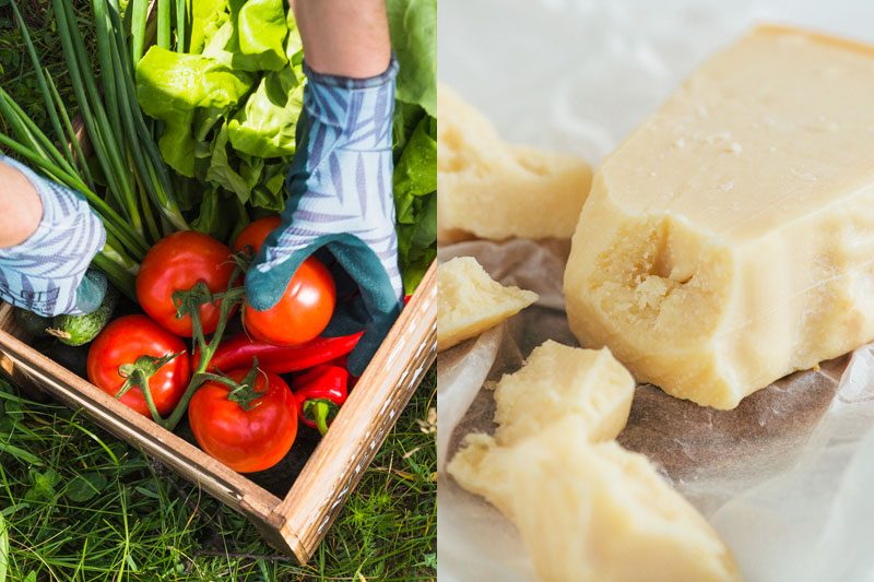 Foodie Palabras Umami Tomates Parmesano