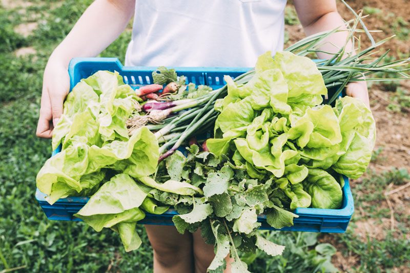 comprar sostenible productos de proximidad