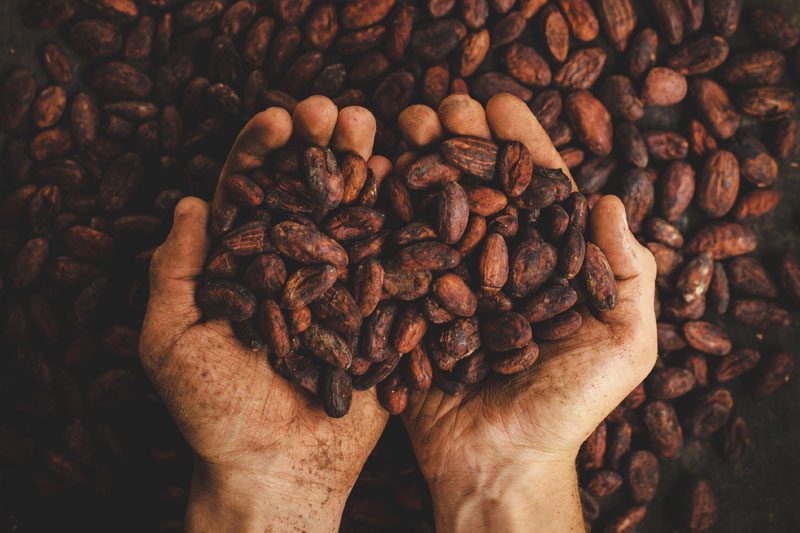 Foodie Palabras superfoods cacao