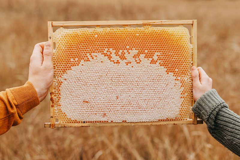 Foodie Palabras superfoods miel