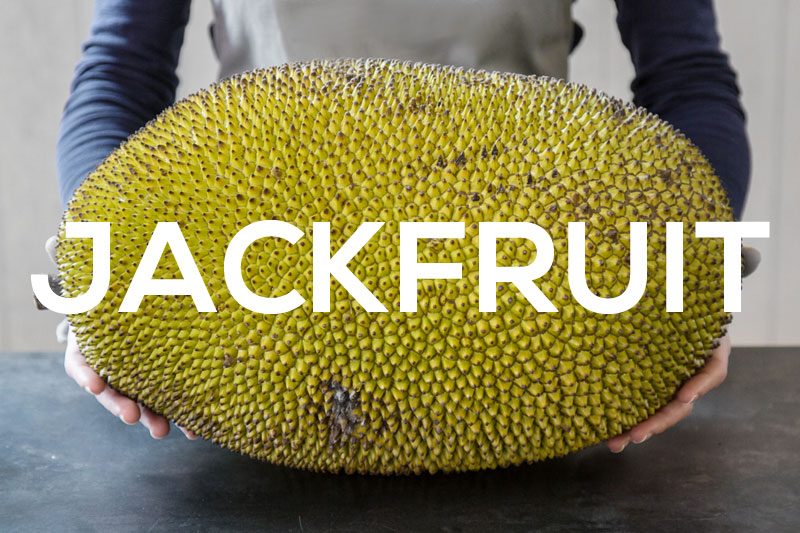 Foodie Palabras Jackfruit