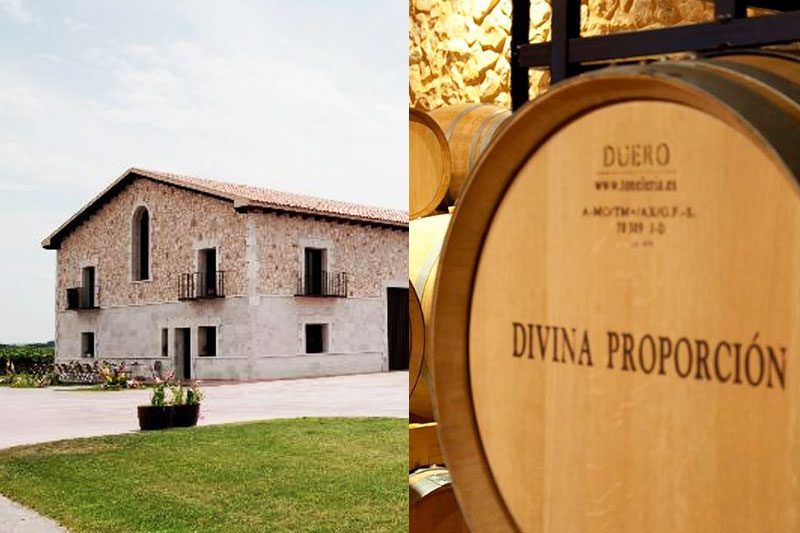 24 Mozas Toro Divina Proporción Bodega