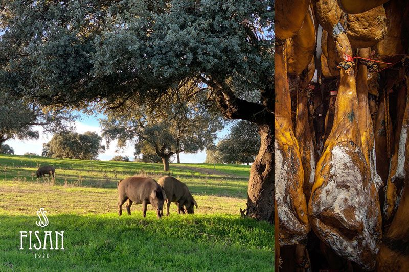 Alta gastronomía Ibéricos FISAN Vida&Comida