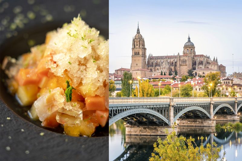 VIDA&COMIDA Guía Repsol 2021 viajeros