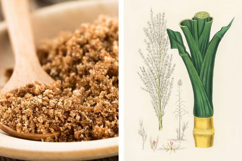 Panela integral caña de azúcar