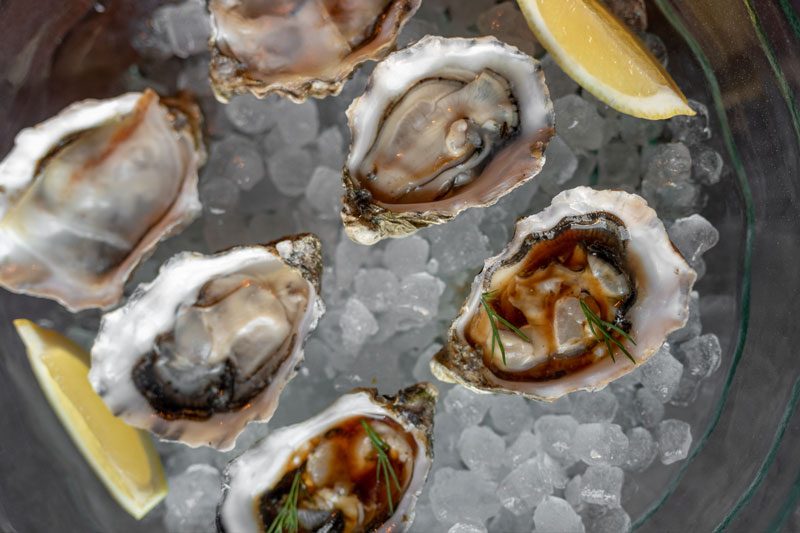 la terraza de Salamanca ostras Vida&Comida
